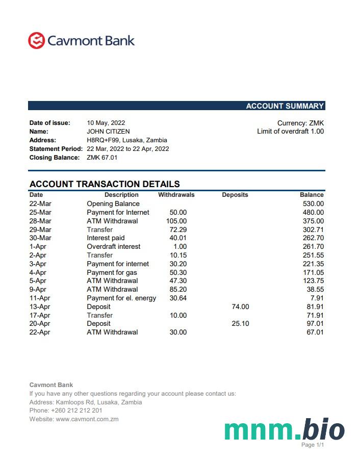 Szablon wyciągu bankowego Zambia Absa w programie Word i PDF